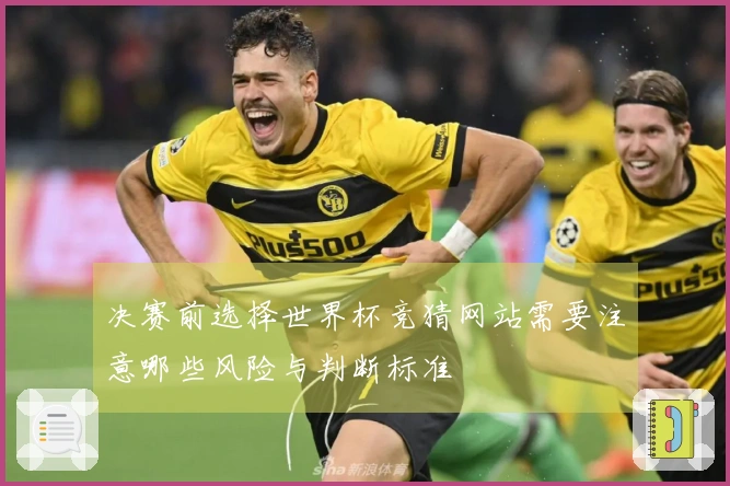 决赛前选择世界杯竞猜网站需要注意哪些风险与判断标准