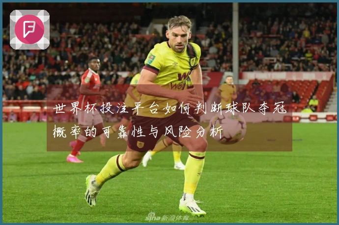 世界杯投注平台如何判断球队夺冠概率的可靠性与风险分析