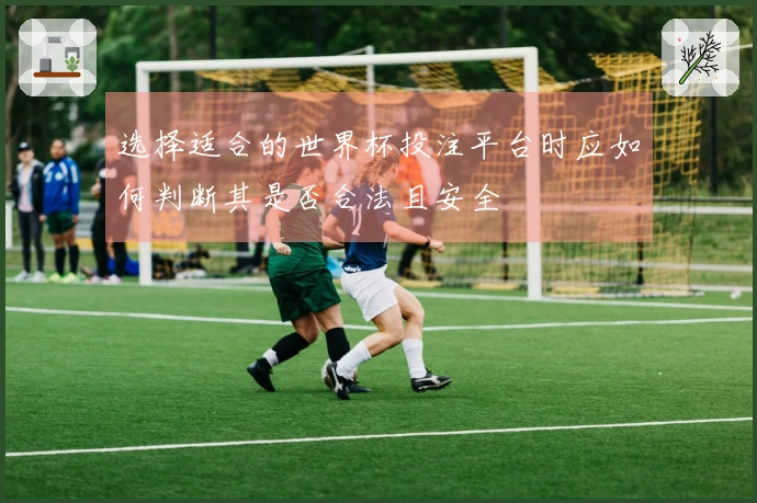 选择适合的世界杯投注平台时应如何判断其是否合法且安全