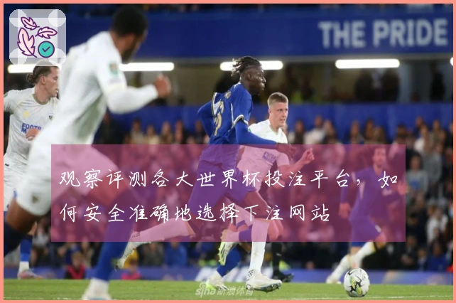 观察评测各大世界杯投注平台，如何安全准确地选择下注网站