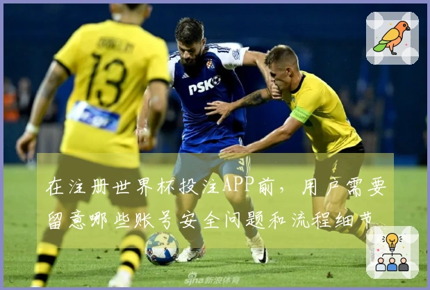 在注册世界杯投注APP前，用户需要留意哪些账号安全问题和流程细节？