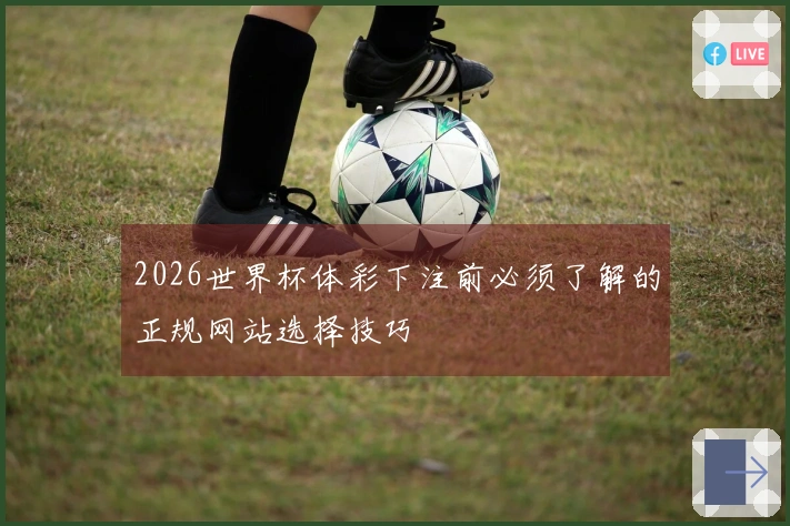 2026世界杯体彩下注前必须了解的正规网站选择技巧