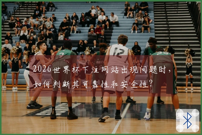 2026世界杯下注网站出现问题时，如何判断其可靠性和安全性？