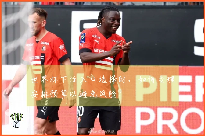 世界杯下注入口选择时，如何合理安排预算以避免风险？