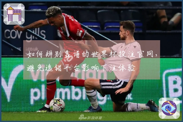 如何辨别靠谱的世界杯投注官网，避免选错平台影响下注体验