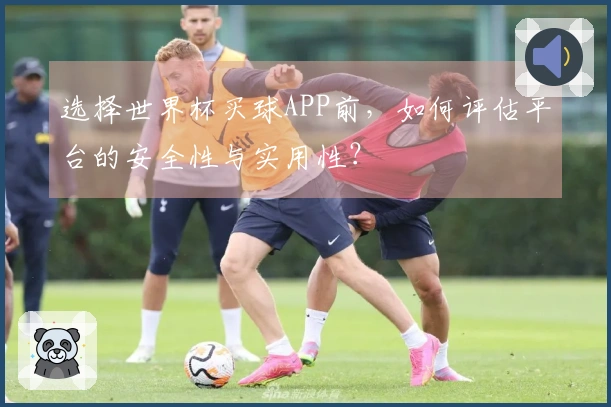 选择世界杯买球APP前，如何评估平台的安全性与实用性？