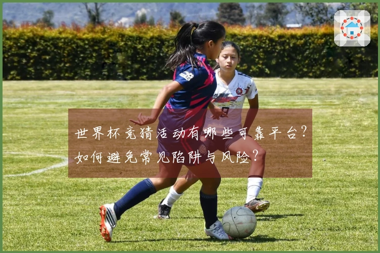 世界杯竞猜活动有哪些可靠平台？如何避免常见陷阱与风险？
