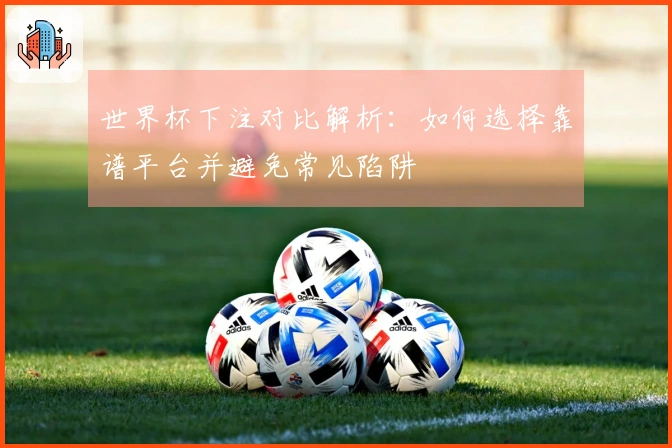 世界杯下注对比解析：如何选择靠谱平台并避免常见陷阱