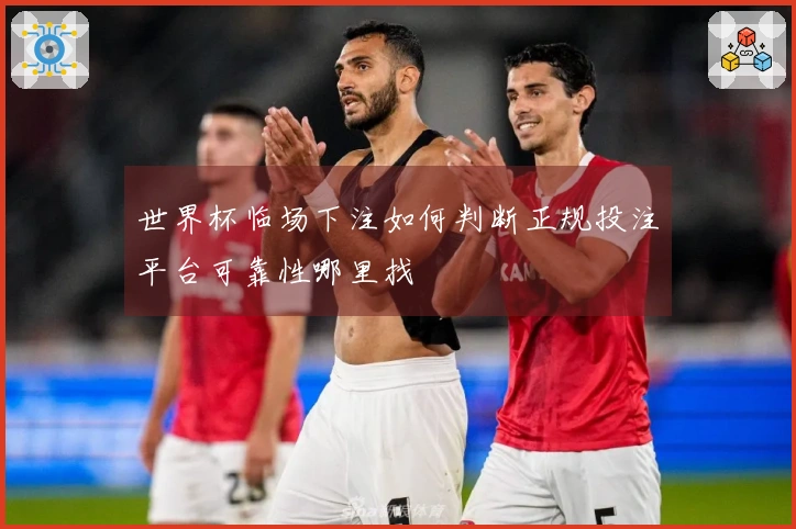 世界杯临场下注如何判断正规投注平台可靠性哪里找