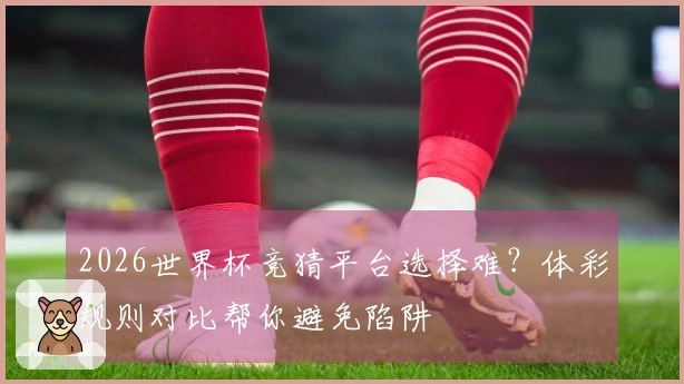 2026世界杯竞猜平台选择难？体彩规则对比帮你避免陷阱