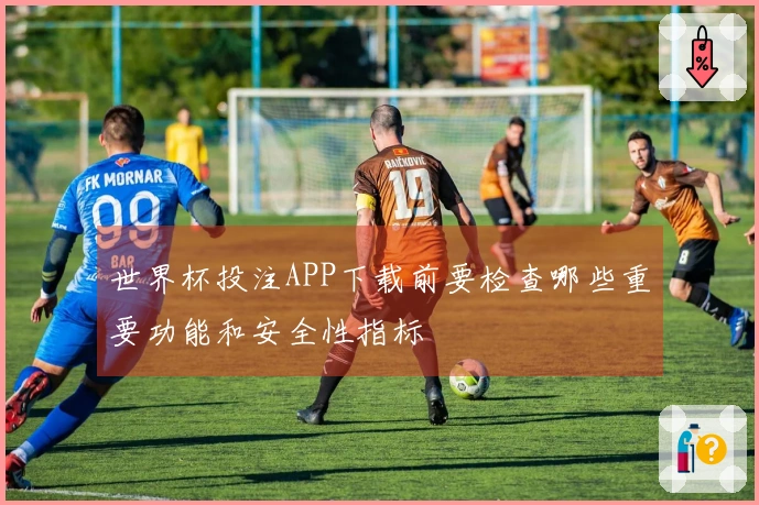 世界杯投注APP下载前要检查哪些重要功能和安全性指标