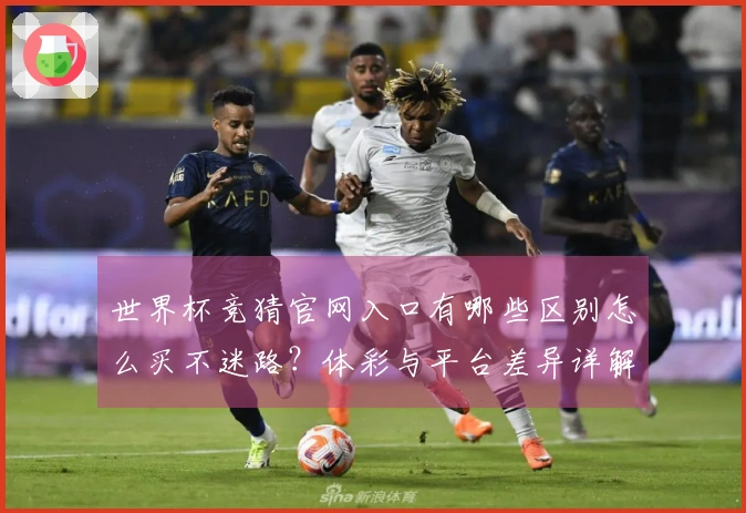 世界杯竞猜官网入口有哪些区别怎么买不迷路？体彩与平台差异详解
