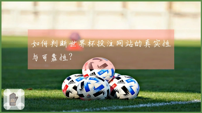 如何判断世界杯投注网站的真实性与可靠性？