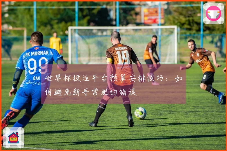 世界杯投注平台预算安排技巧，如何避免新手常犯的错误