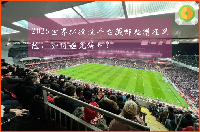 2026世界杯投注平台藏哪些潜在风险，如何避免踩坑？
