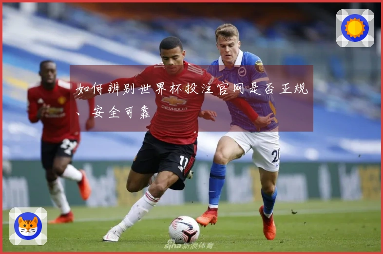 如何辨别世界杯投注官网是否正规、安全可靠