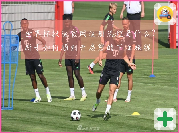 世界杯投注官网注册流程是什么？新手如何顺利开启您的下注旅程