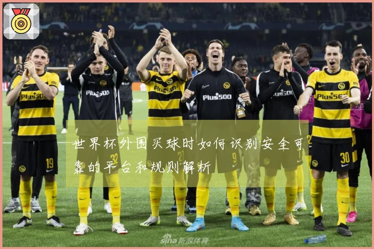 世界杯外围买球时如何识别安全可靠的平台和规则解析