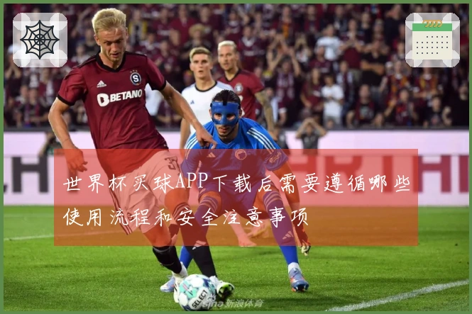 世界杯买球APP下载后需要遵循哪些使用流程和安全注意事项