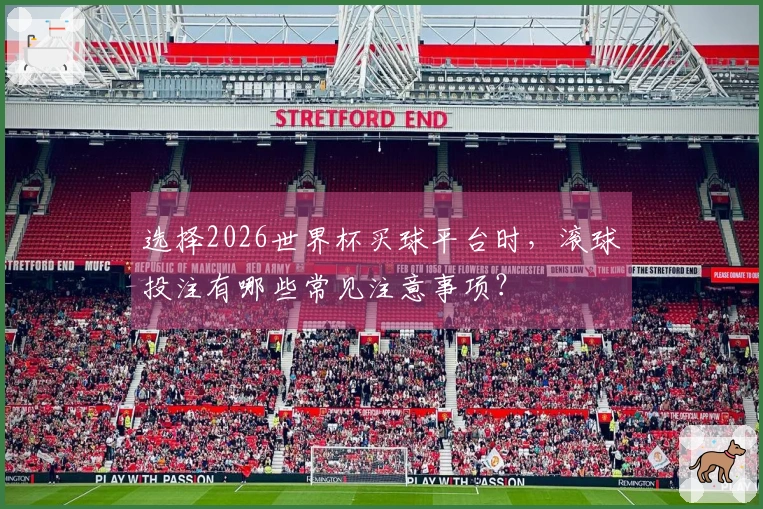 选择2026世界杯买球平台时，滚球投注有哪些常见注意事项？