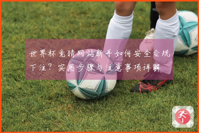 世界杯竞猜网站新手如何安全合规下注？实用步骤与注意事项详解