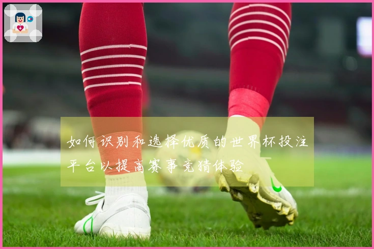 如何识别和选择优质的世界杯投注平台以提高赛事竞猜体验