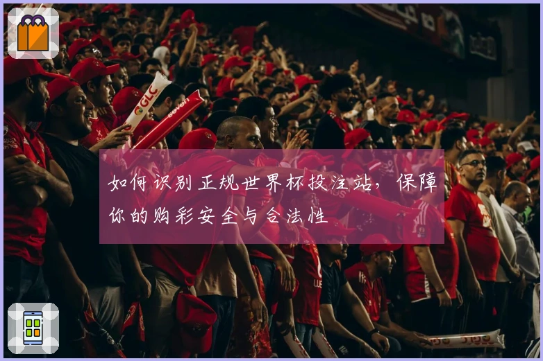 如何识别正规世界杯投注站，保障你的购彩安全与合法性