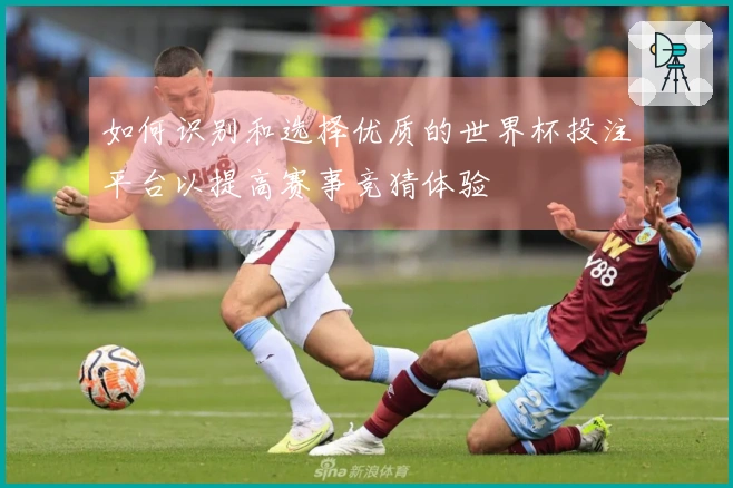 如何识别和选择优质的世界杯投注平台以提高赛事竞猜体验