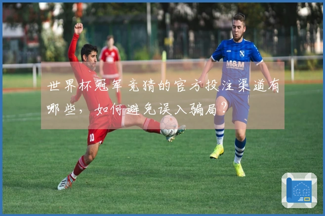 世界杯冠军竞猜的官方投注渠道有哪些，如何避免误入骗局？