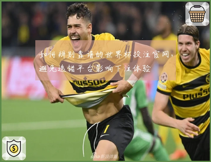 如何辨别靠谱的世界杯投注官网，避免选错平台影响下注体验