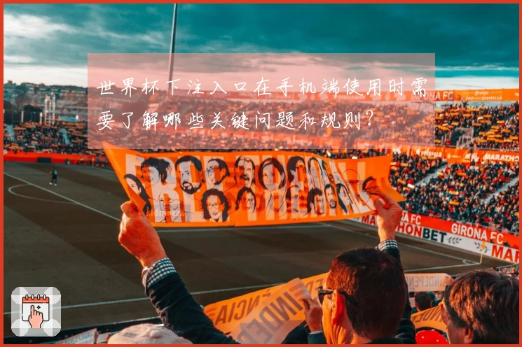世界杯下注入口在手机端使用时需要了解哪些关键问题和规则？