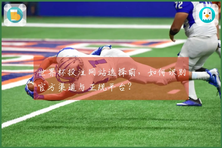 世界杯投注网站选择前，如何识别官方渠道与正规平台？