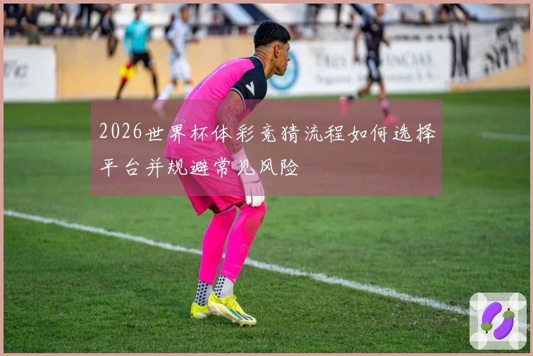 2026世界杯体彩竞猜流程如何选择平台并规避常见风险
