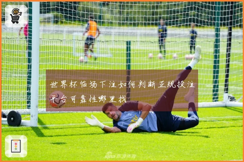 世界杯临场下注如何判断正规投注平台可靠性哪里找