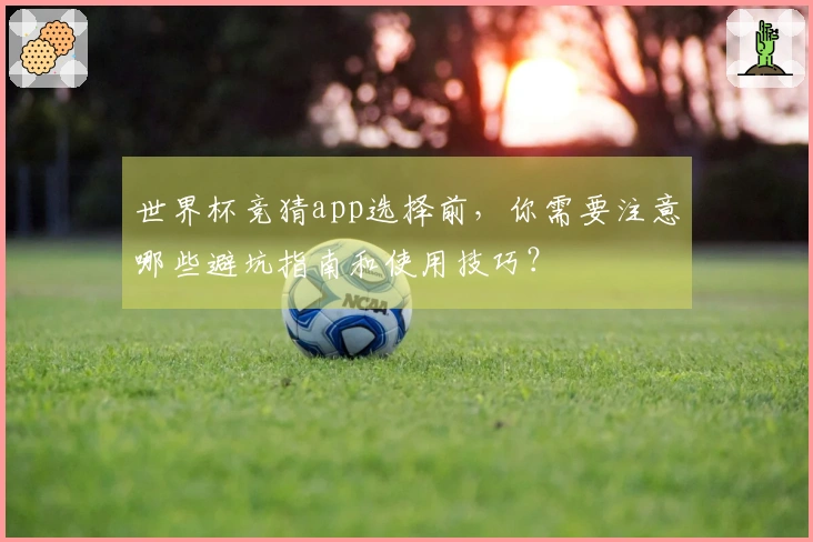 世界杯竞猜app选择前，你需要注意哪些避坑指南和使用技巧？