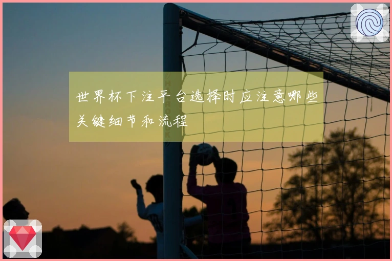世界杯下注平台选择时应注意哪些关键细节和流程