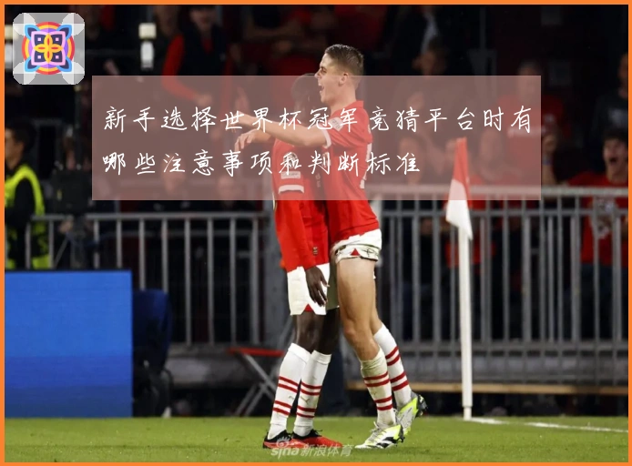 新手选择世界杯冠军竞猜平台时有哪些注意事项和判断标准