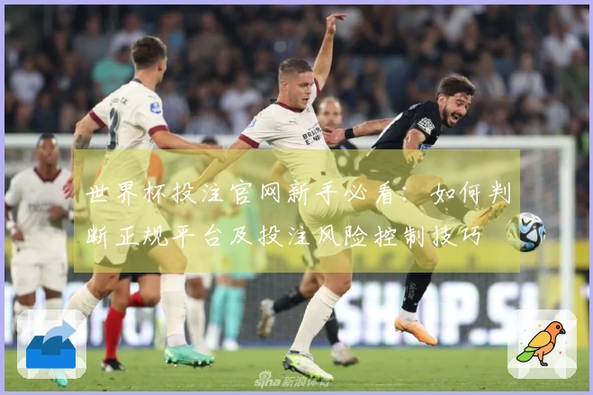 世界杯投注官网新手必看：如何判断正规平台及投注风险控制技巧