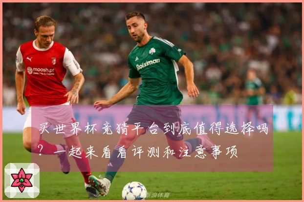 买世界杯竞猜平台到底值得选择吗？一起来看看评测和注意事项