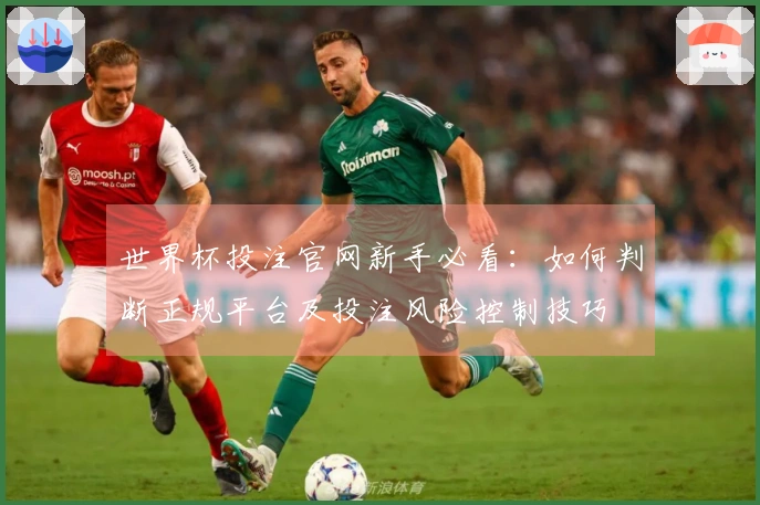 世界杯投注官网新手必看：如何判断正规平台及投注风险控制技巧