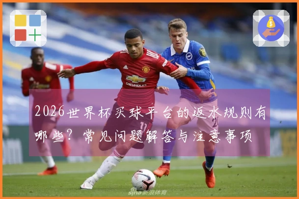 2026世界杯买球平台的返水规则有哪些？常见问题解答与注意事项