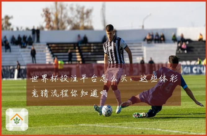 世界杯投注平台怎么买，这些体彩竞猜流程你知道吗