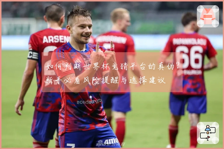 如何判断世界杯竞猜平台的真伪？新手必看风险提醒与选择建议