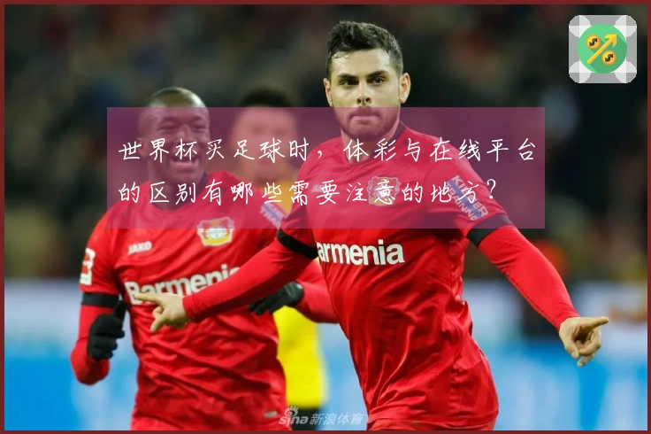 世界杯买足球时，体彩与在线平台的区别有哪些需要注意的地方？