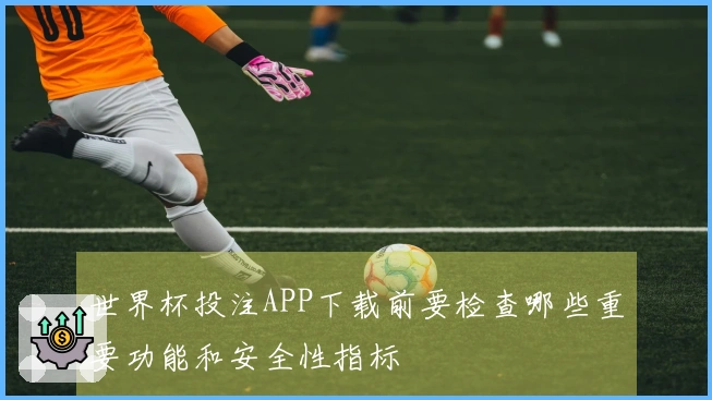 世界杯投注APP下载前要检查哪些重要功能和安全性指标
