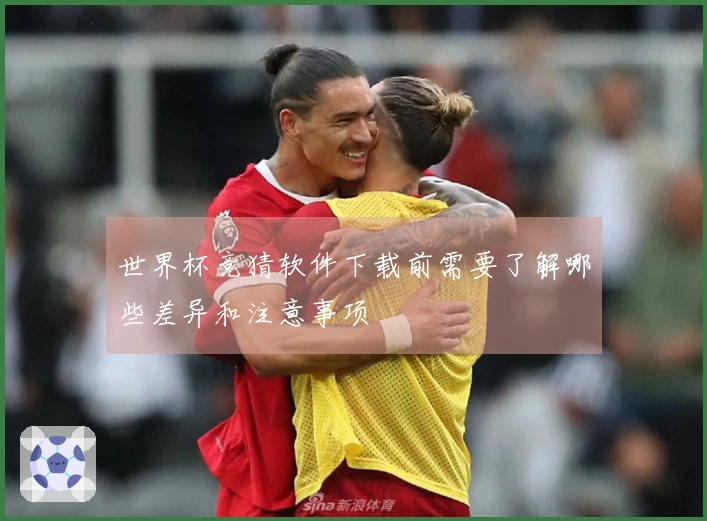 世界杯竞猜软件下载前需要了解哪些差异和注意事项