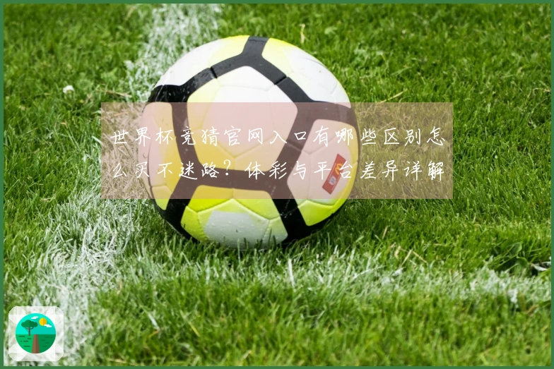 世界杯竞猜官网入口有哪些区别怎么买不迷路？体彩与平台差异详解