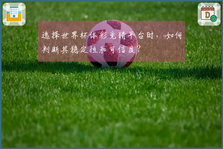 选择世界杯体彩竞猜平台时，如何判断其稳定性和可信度？