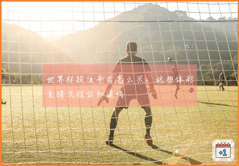 世界杯投注平台怎么买，这些体彩竞猜流程你知道吗