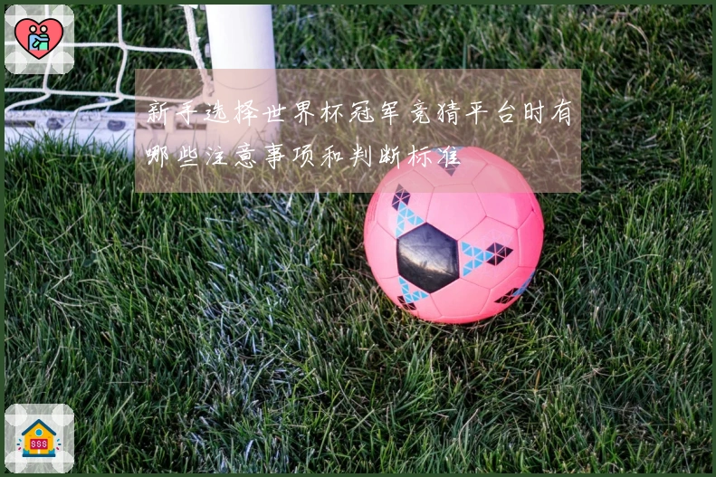 新手选择世界杯冠军竞猜平台时有哪些注意事项和判断标准